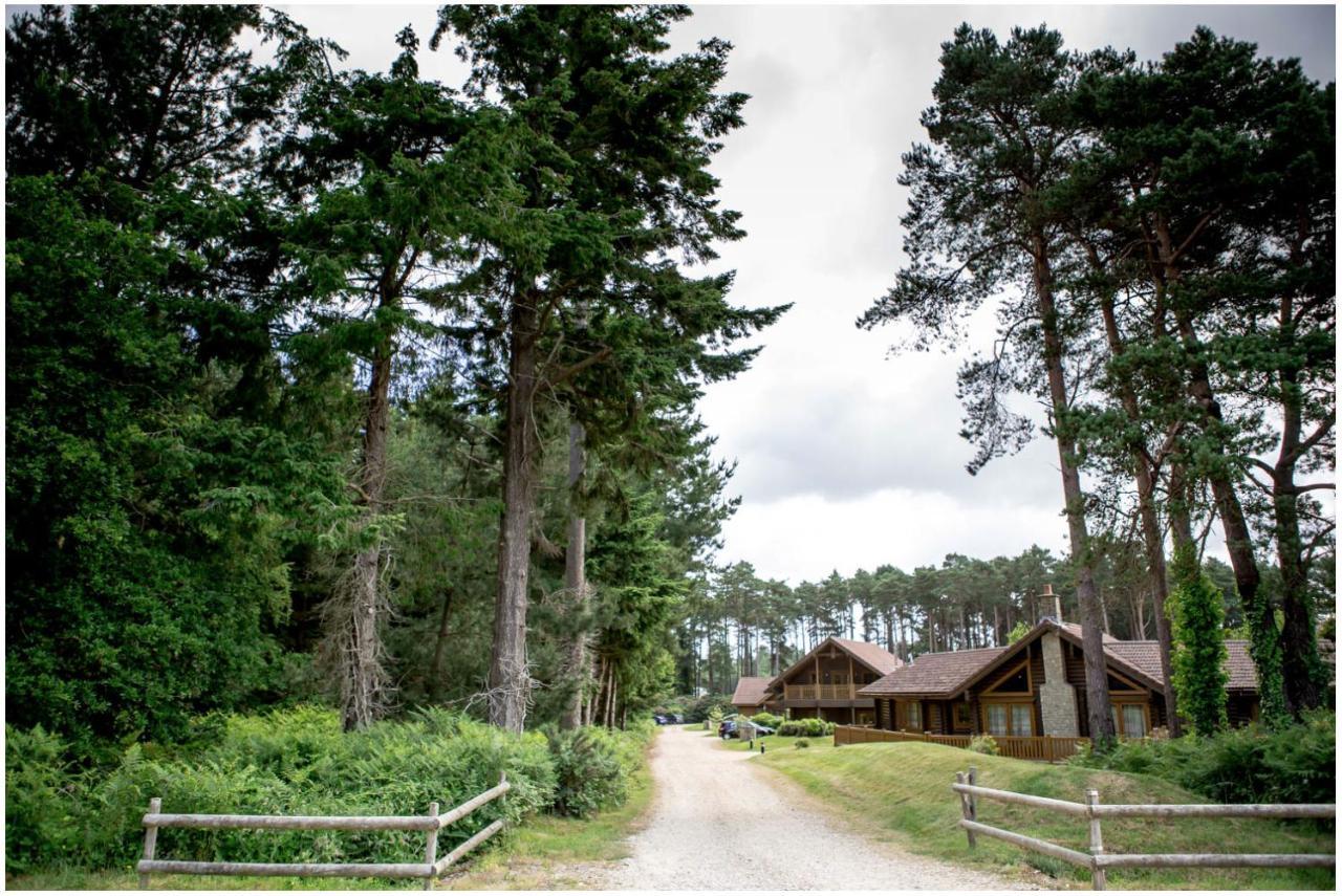 Dorset Resort Hotel East Stoke  Extérieur photo